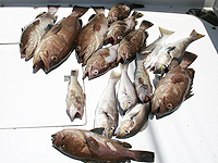 costa rica fishing los suenos fishing costa rica fishing costa rica fishing report
