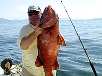costa rica fishing tamarindo fishing costa rica fishing costa rica fishing report