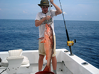 costa rica fishing quepos fishing costa rica fishing costa rica fishing report