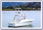 costa rica fishing sportfishing los suenos sportfishing costa rica costa rica fishing report
