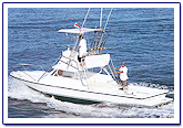 costa rica fishing sportfishing quepos sportfishing costa rica costa rica fishing report