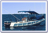 sportfishing tamarindo sportfishing costa rica