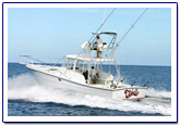 flamingo fishing report costa rica fishing report