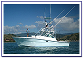 costa rica fishing report  costa rica fishing report