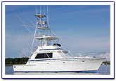 costa rica fishing report  costa rica fishing report
