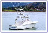 costa rica fishing report  costa rica fishing report