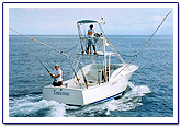fishing in the jungle aguila de osa fishing drake bay, corcovado national park