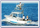 flamingo fishing report costa rica fishing report