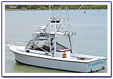 costa rica fishing report  costa rica fishing report