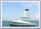 costa rica fishing report  costa rica fishing report