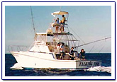 flamingo fishing report costa rica fishing report