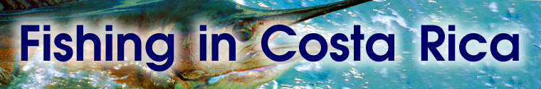 fishing in costa rica, fishing in costa rica, costa rica fishing charters fishing report, fishing in costa rica