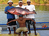 fishing charters panama, sportfishing panama, fishing boat panama, deep sea fishing panama, marlin panama, islas secas, cebaco, panama fishing, fishing panama, sailfish panama